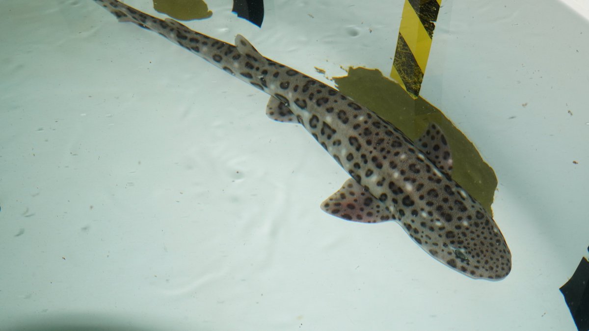 Conselleria d'Agricultura, Pesca i Medi Natural tweet media