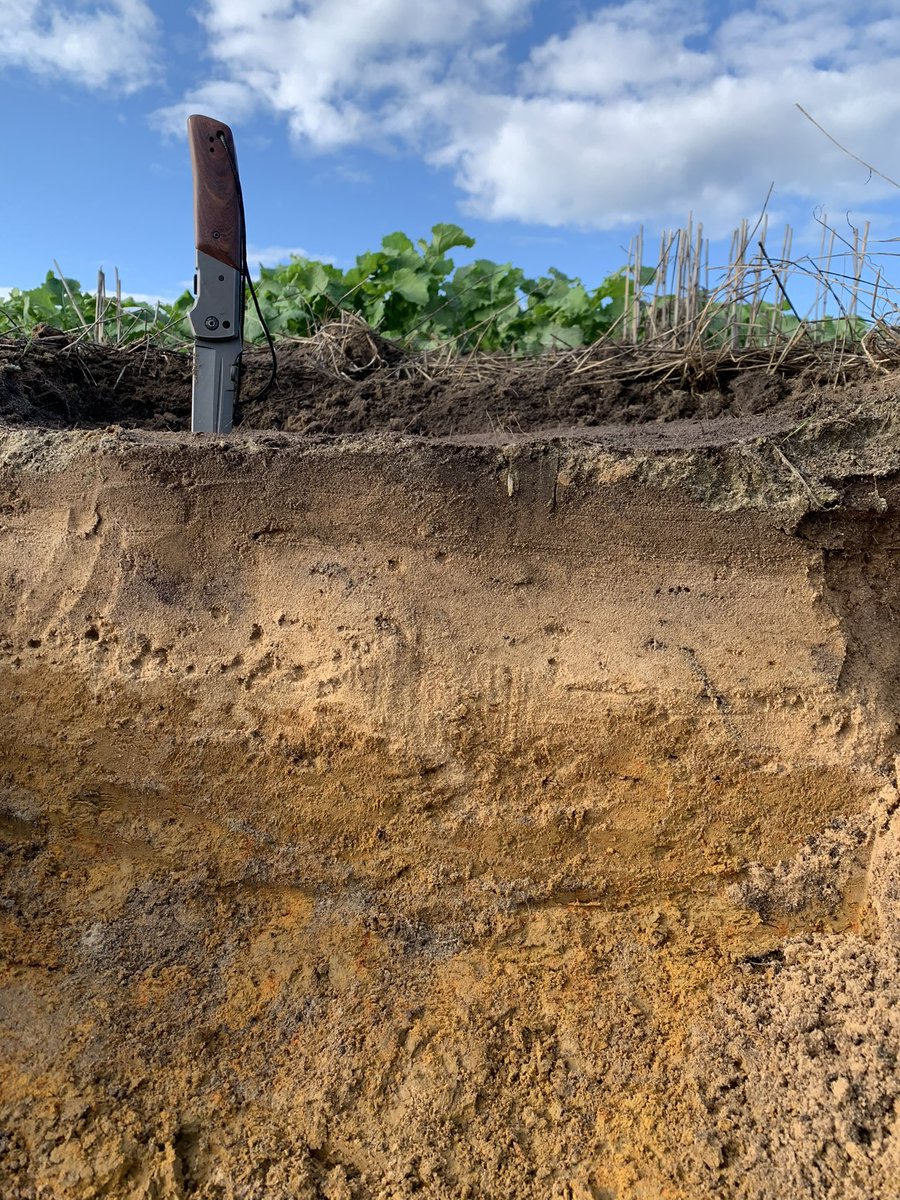 Michael Eyres tweet media