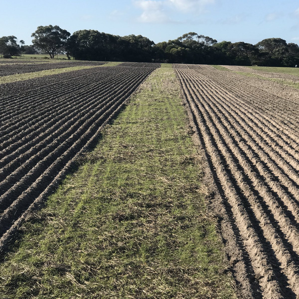 Michael Eyres tweet media