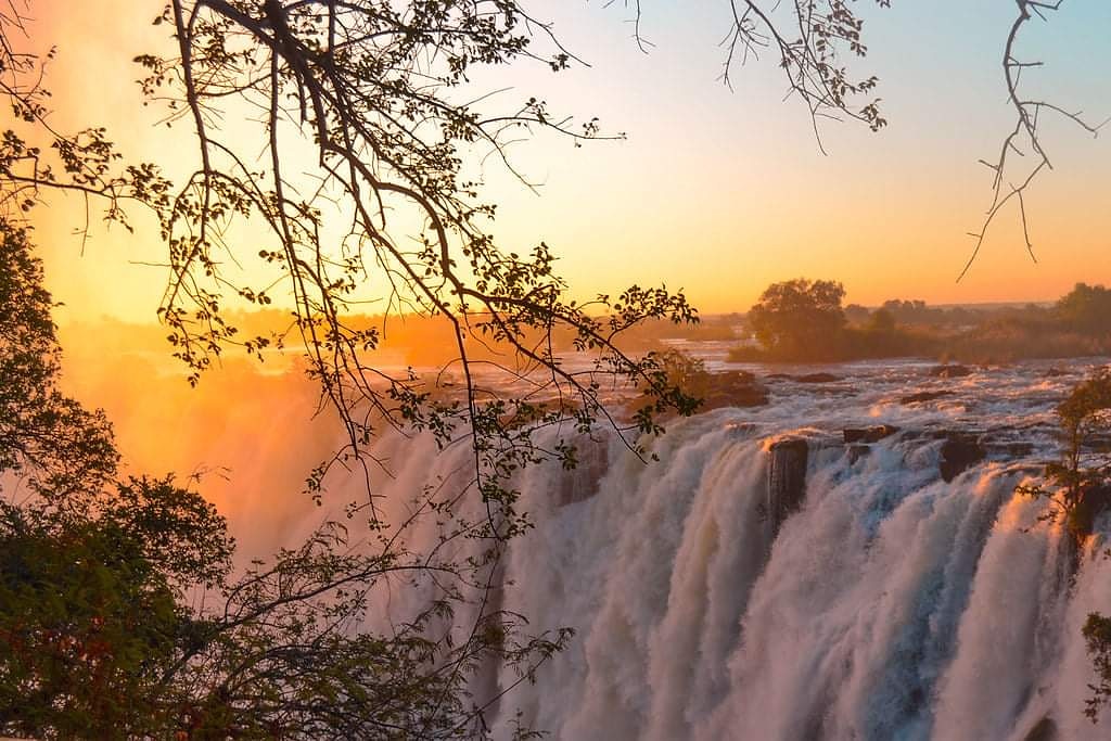 Destination Livingstone tweet media