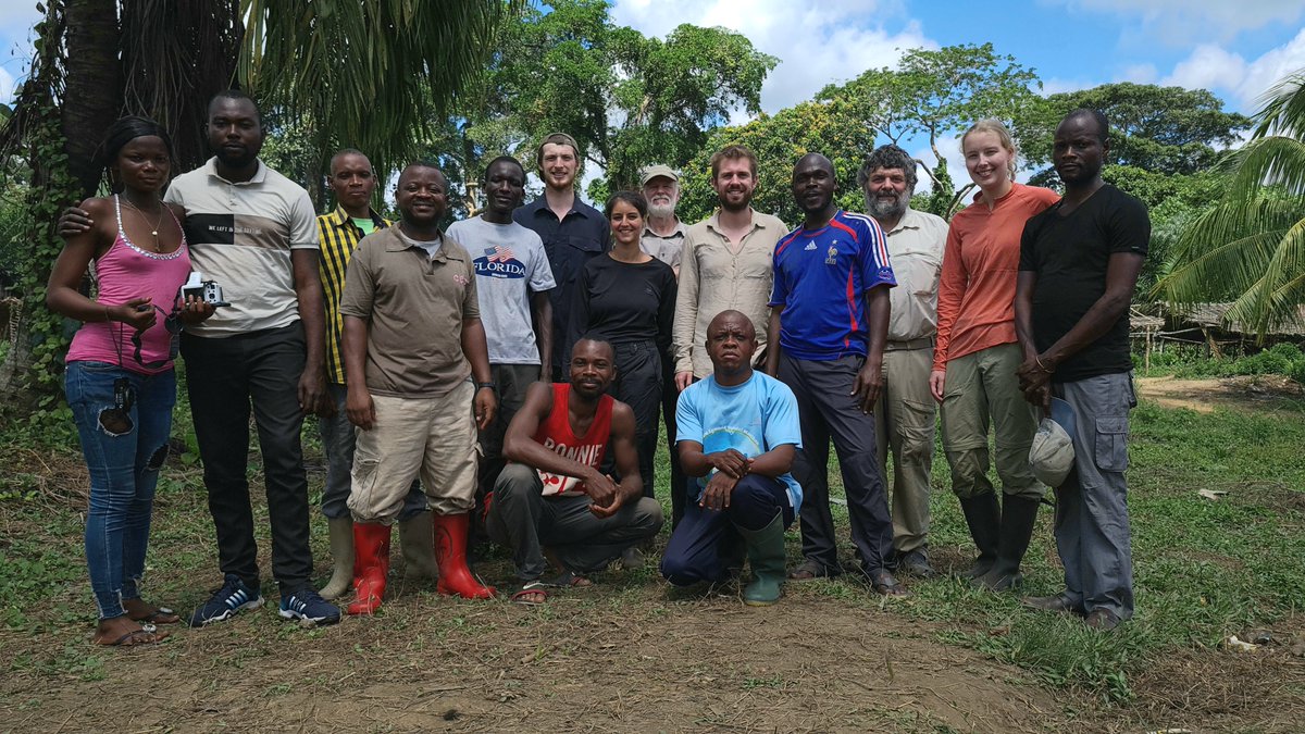 BiodivAfreid's tweet photo. Back home after 7 weeks of successful fieldwork in the forests of the Tshuapa Province in DR #Congo. Catching small mammals to study their #viruses.
Now, let's go to the lab. Great results are ahead! A nice joint between #UAntwerpen #RBINSmuseum  #LibreKisangani #UNIKIN efforts. https://t.co/gD8Y1DXbHQ
