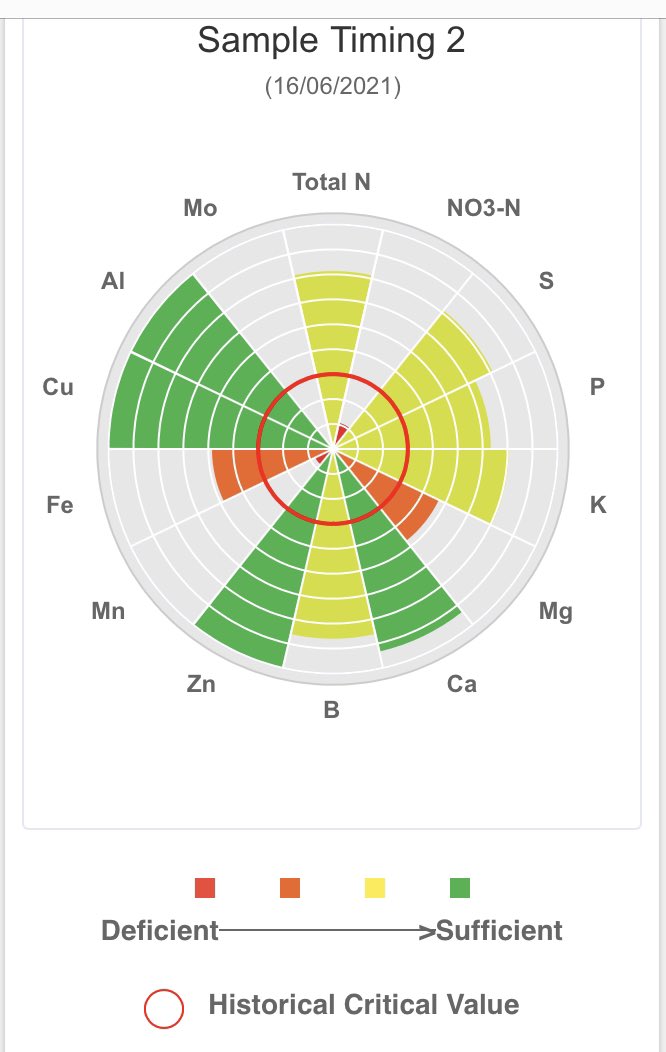 NutriAg_Ben's tweet photo. CK Ont onions growing well and bulking up. #TerraDrive and #SiliCalMax recovery from herbicide stress, #Manzinphos + #Kmax this week with #Nutrianalytics. And thrips aren’t cooperating and dying. https://t.co/j4OEackNkp