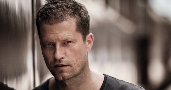 RTした猫、なんとなくティル・シュヴァイガーさんに似ている気がする…強そう 