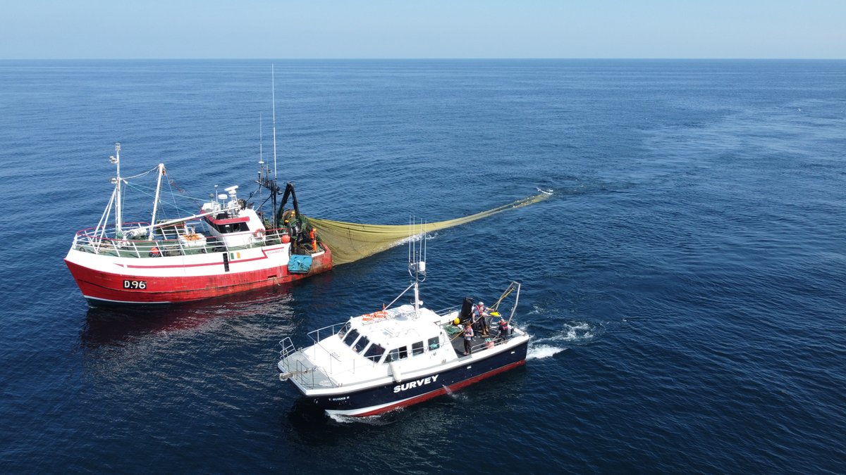 Summer Days!
Cutting edge technology captures real-time images of prawn trawls in action in the Irish Sea. Fast track development of environmentally friendly fishing gears which contributes to sustainable fisheries  <a href="/BIM_InshSurvOff/">Nicolas Chopin</a> <a href="/EdgeTechMarine/">EdgeTech</a> <a href="/STR_Subsea/">STR</a> #BIMinaction