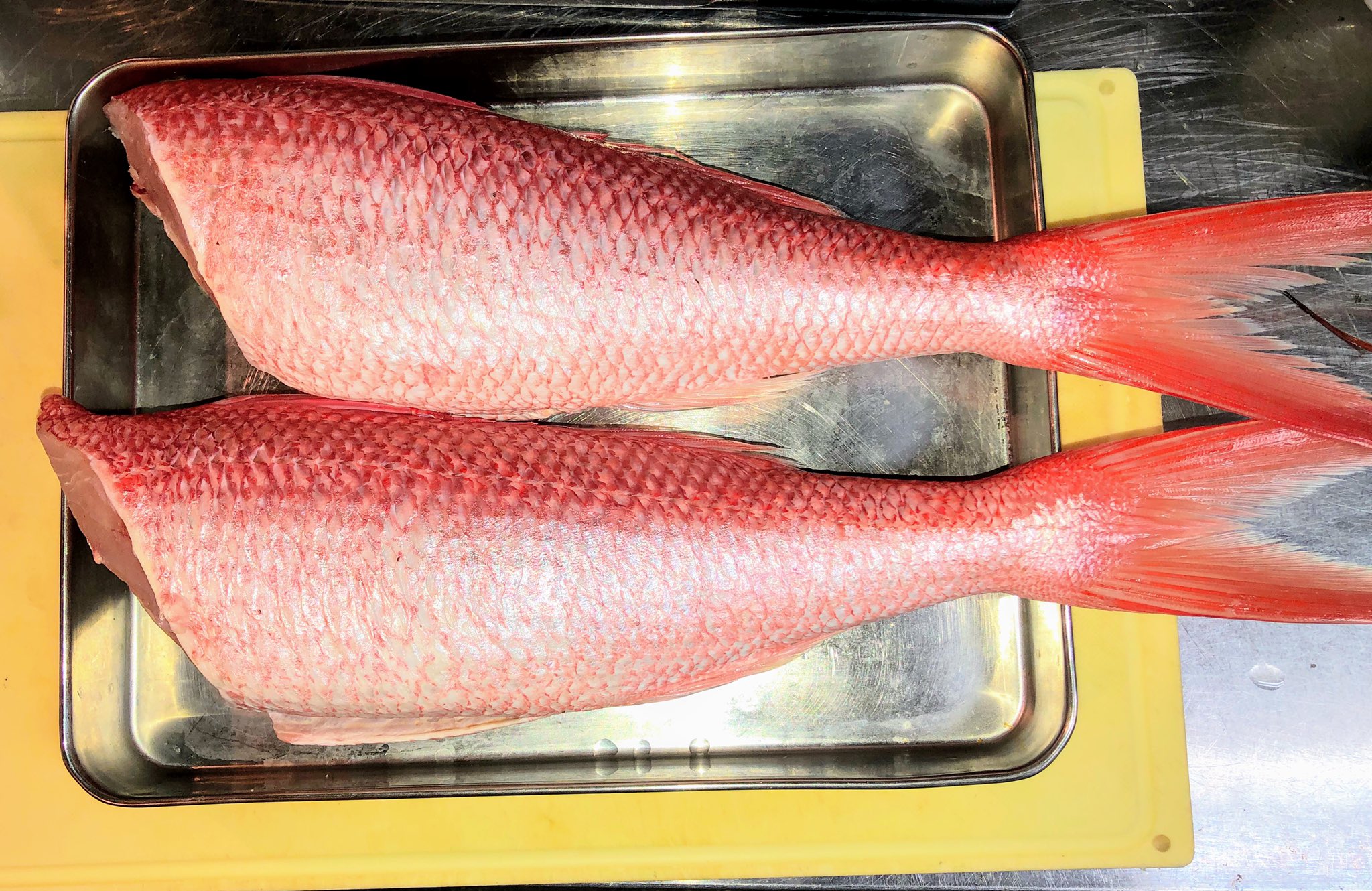 沖縄3大高級魚 Twitter Search Twitter