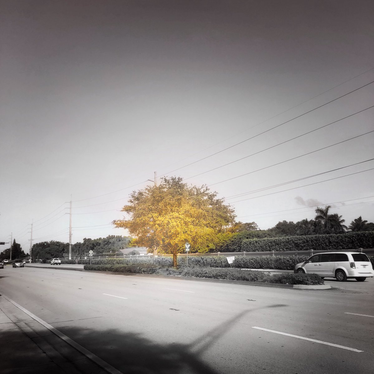 photosbydyn's tweet photo. before and after of my newest shot “the burning tree” https://t.co/pjO5Y0oY8m