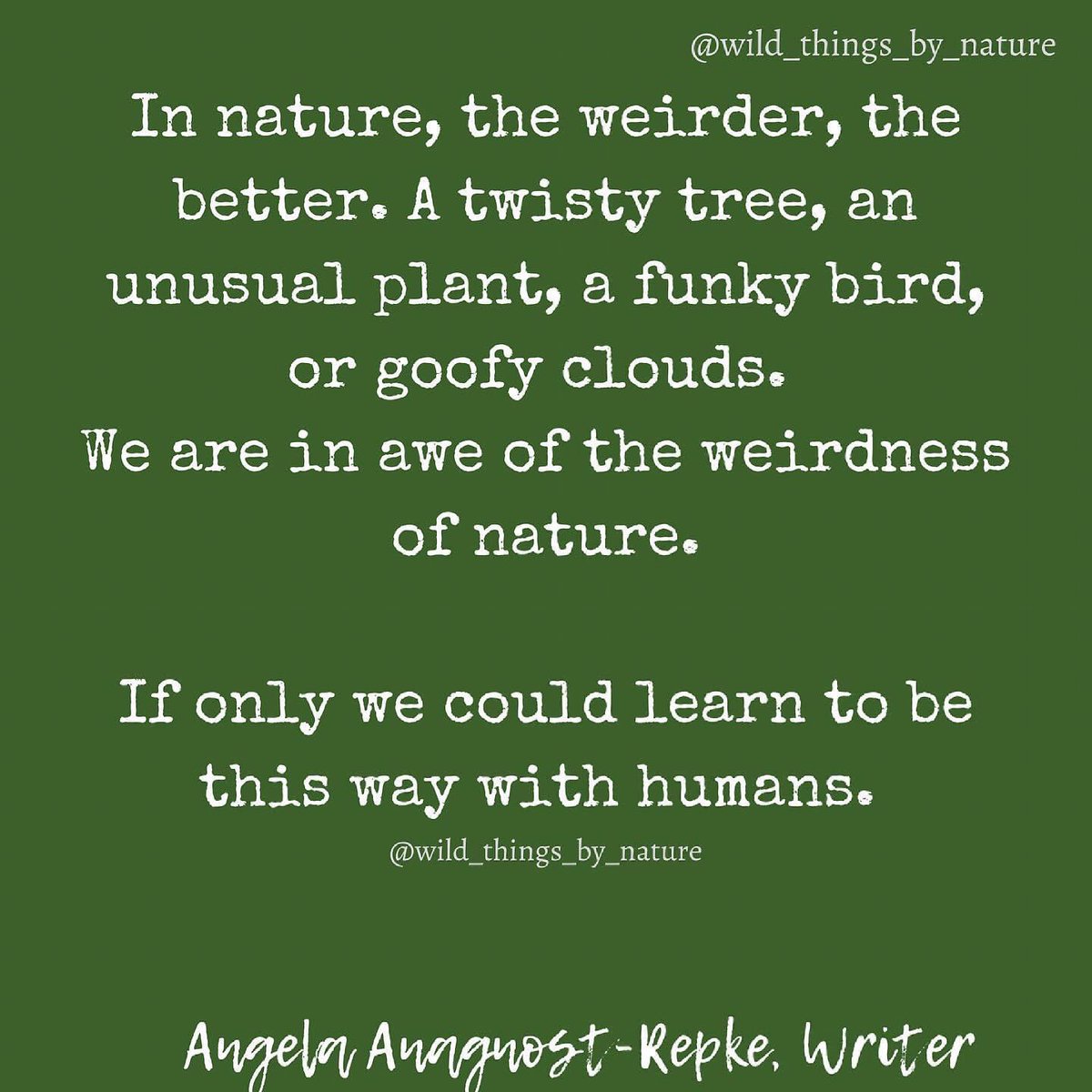 🌞#riseshinegivegodtheglory 🙌 #lovelightandinsight ✨