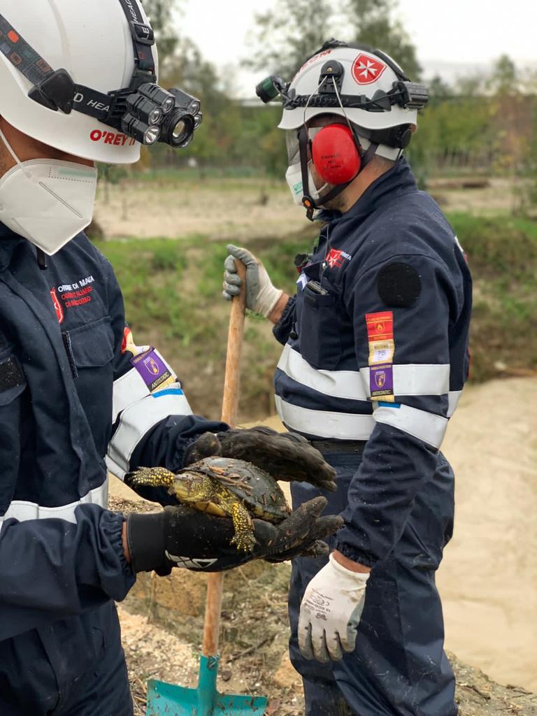 Buon compleanno CISOM Corpo Italiano di Soccorso dell'Ordine di Malta!
Dal soccorso sanitario all'assistenza alla popolazione, dalle attività tecnico-logistiche alla formazione, le donne e gli uomini del CISOM sono sempre al fianco delle comunità e del Sistema di Protezione Civile. Grazie! 