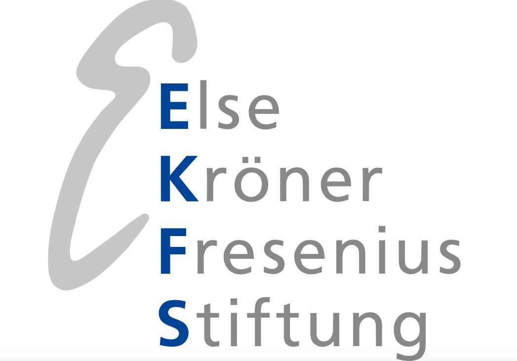 Institute of CVR (@instcardreg_ffm) on Twitter photo Fantastic news! Our Postdoc Guillermo Luxán <a href="/gluxan/">Guillermo Luxán</a>
got a grant from the Else-Kröner Stiftung <a href="/EKFStiftung/">Else Kröner-Fresenius-Stiftung</a> to
study the role of endothelial angiocrine signals in cardiac ageing #science #postdoc #ageing #research <a href="/DimmelerLab/">Stefanie Dimmeler</a> Fantastic news! Our Postdoc Guillermo Luxán <a href="/gluxan/">Guillermo Luxán</a>
got a grant from the Else-Kröner Stiftung <a href="/EKFStiftung/">Else Kröner-Fresenius-Stiftung</a> to
study the role of endothelial angiocrine signals in cardiac ageing #science #postdoc #ageing #research <a href="/DimmelerLab/">Stefanie Dimmeler</a>