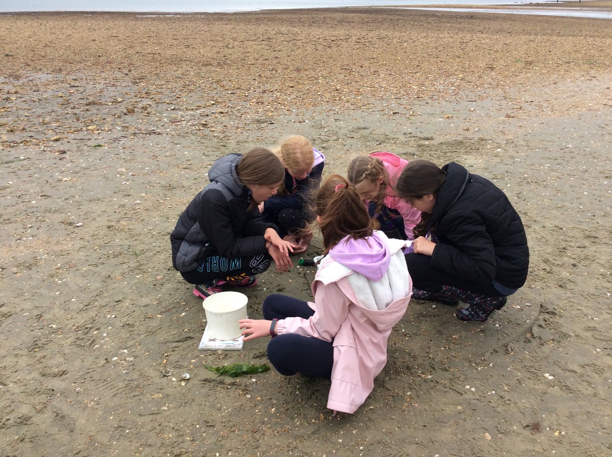 A few from Year 5’s beach visit yesterday... rock pooling, sand sculptures and fossil hunting.