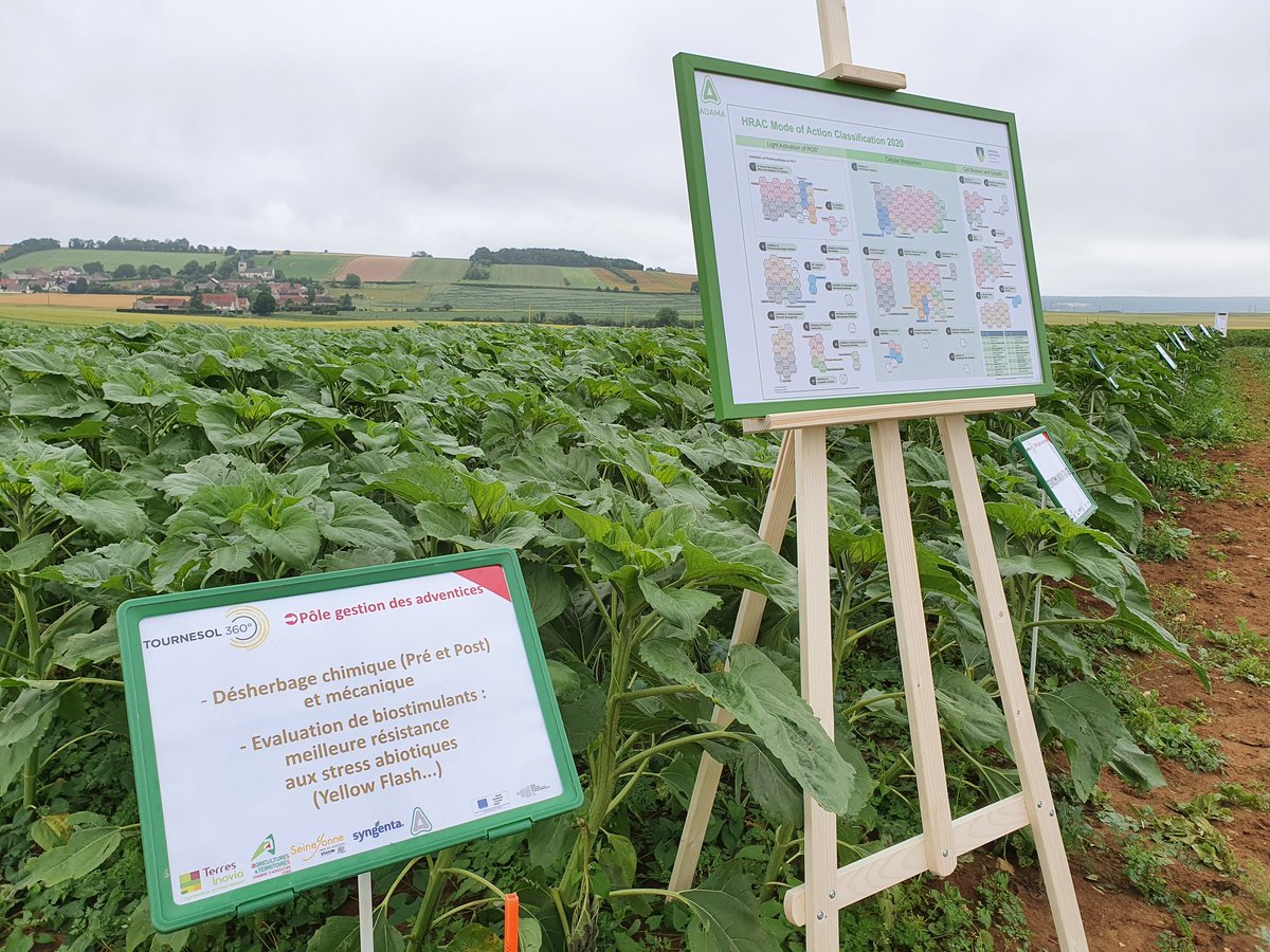 Alban Bigeard - Adama France tweet media