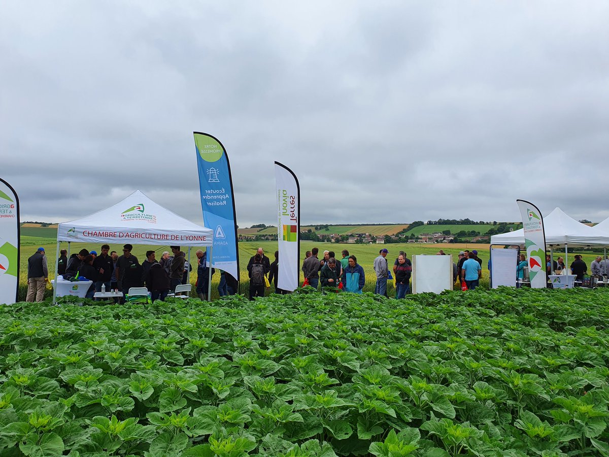 Alban Bigeard - Adama France tweet media