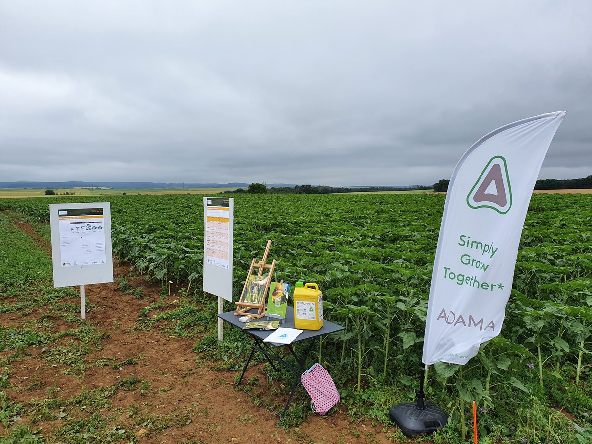 Alban Bigeard - Adama France tweet media