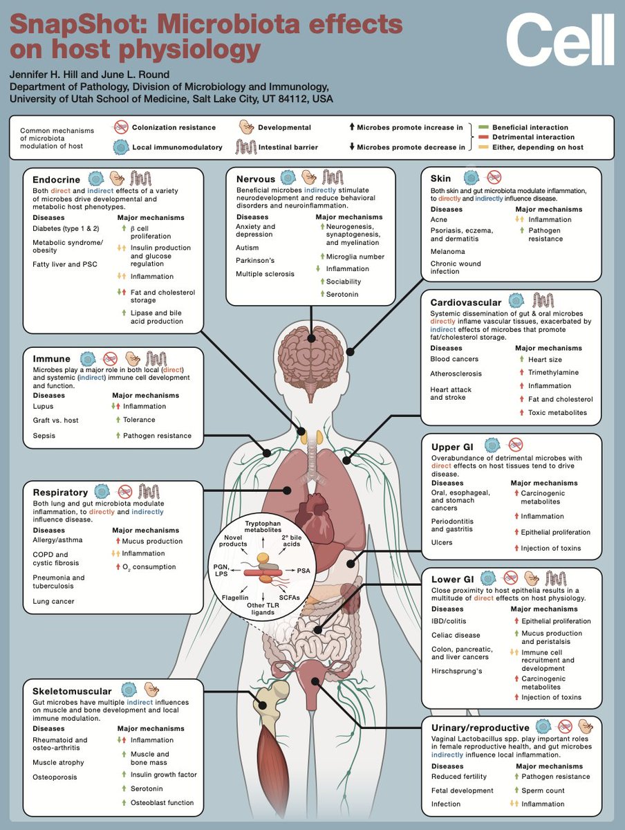SnapShot: Microbiota effects on host physiology sciencedirect.com/science/articl…
