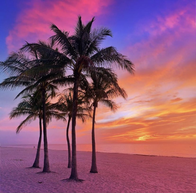 fmason3500's tweet photo. Pink morning glow at the beach. Wednesday kaleidoscope of colors captured by @FtLauderdaleSun https://t.co/zgKt8kY5wb