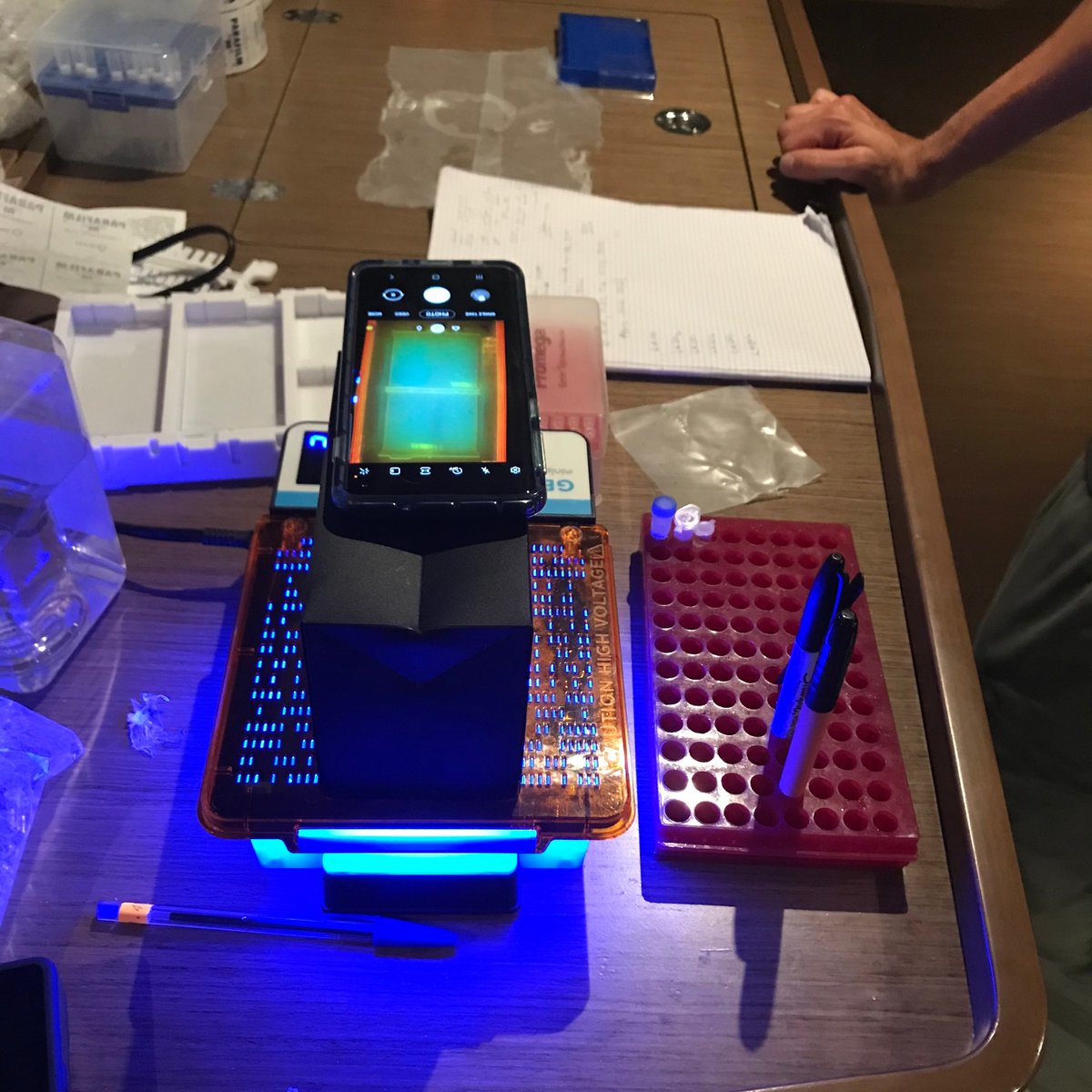 They are sparse, but we are sniffing them! We can detect white shark DNA suspended in water samples in 4 hours - from sampling to results - with smartphone-size thermocyclers and gel runners connected via Bluetooth. #wsc21 #eDNA