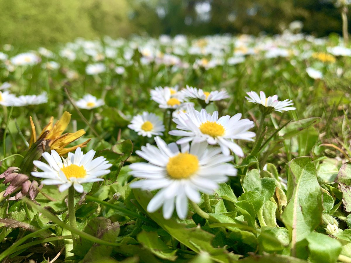 SheffieldHousingCo (@sheff_housingco) on Twitter photo It may only be the middle of the week BUT we are already looking forward to #photofriday - some great #Sheffield #snaps appearing on our feed already 📸
<a href="/CazCutts1/">Caz Cutts 💙</a> @meandaringalong <a href="/doristhehat/">doristhehat</a> <a href="/kerimankayayah1/">Keri</a> <a href="/SheffLocal/">SheffLocal</a> <a href="/steelcitysnaps/">Dave: The Steel City Snapper</a> <a href="/sheffield_tf/">Sheffield TalkFuse</a> It may only be the middle of the week BUT we are already looking forward to #photofriday - some great #Sheffield #snaps appearing on our feed already 📸
<a href="/CazCutts1/">Caz Cutts 💙</a> @meandaringalong <a href="/doristhehat/">doristhehat</a> <a href="/kerimankayayah1/">Keri</a> <a href="/SheffLocal/">SheffLocal</a> <a href="/steelcitysnaps/">Dave: The Steel City Snapper</a> <a href="/sheffield_tf/">Sheffield TalkFuse</a>