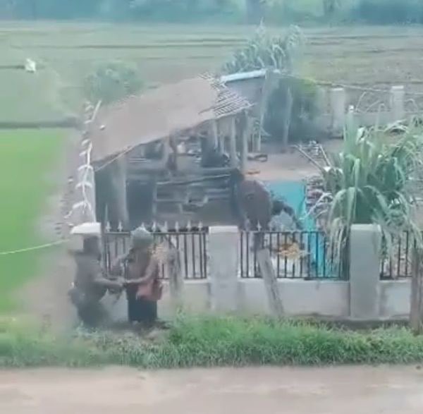 SpringBago's tweet photo. These are the photos footage of Military thugs looted chicks&ducks from the houses with no permission from the owners in #LinPhoneGyi Village #LoiLinLay city #Loikaw tsp #Kayah State on June23evening.
They also stationed at village monastery. So,the villagers worried for safety. https://t.co/fogqCdbLe2