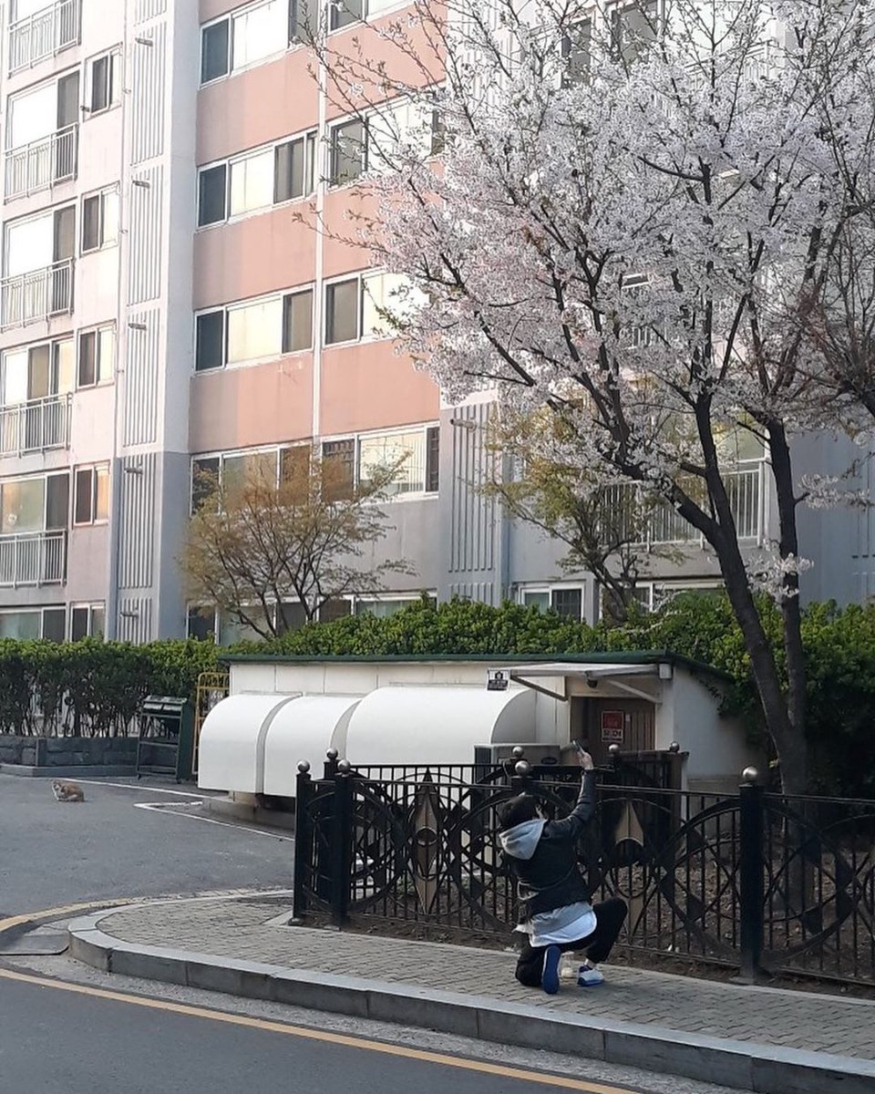 변함없이 이곳에 머물러 믿고 응원해주기,
그저 묵묵히 기다려주기.

언젠가 기다림이 빛이 발하는 날이 순간이 오기를 🙏🏻