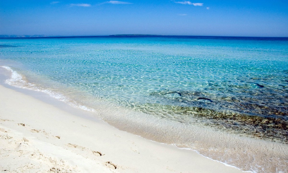 wanderlustmag's tweet photo. Which of these gorgeous beaches in Formentera would you most like to visit? π
See them all > https://t.co/Uk3gjgVke3
#ad #wlfo
@visitformentera https://t.co/mN9qKWJDW9