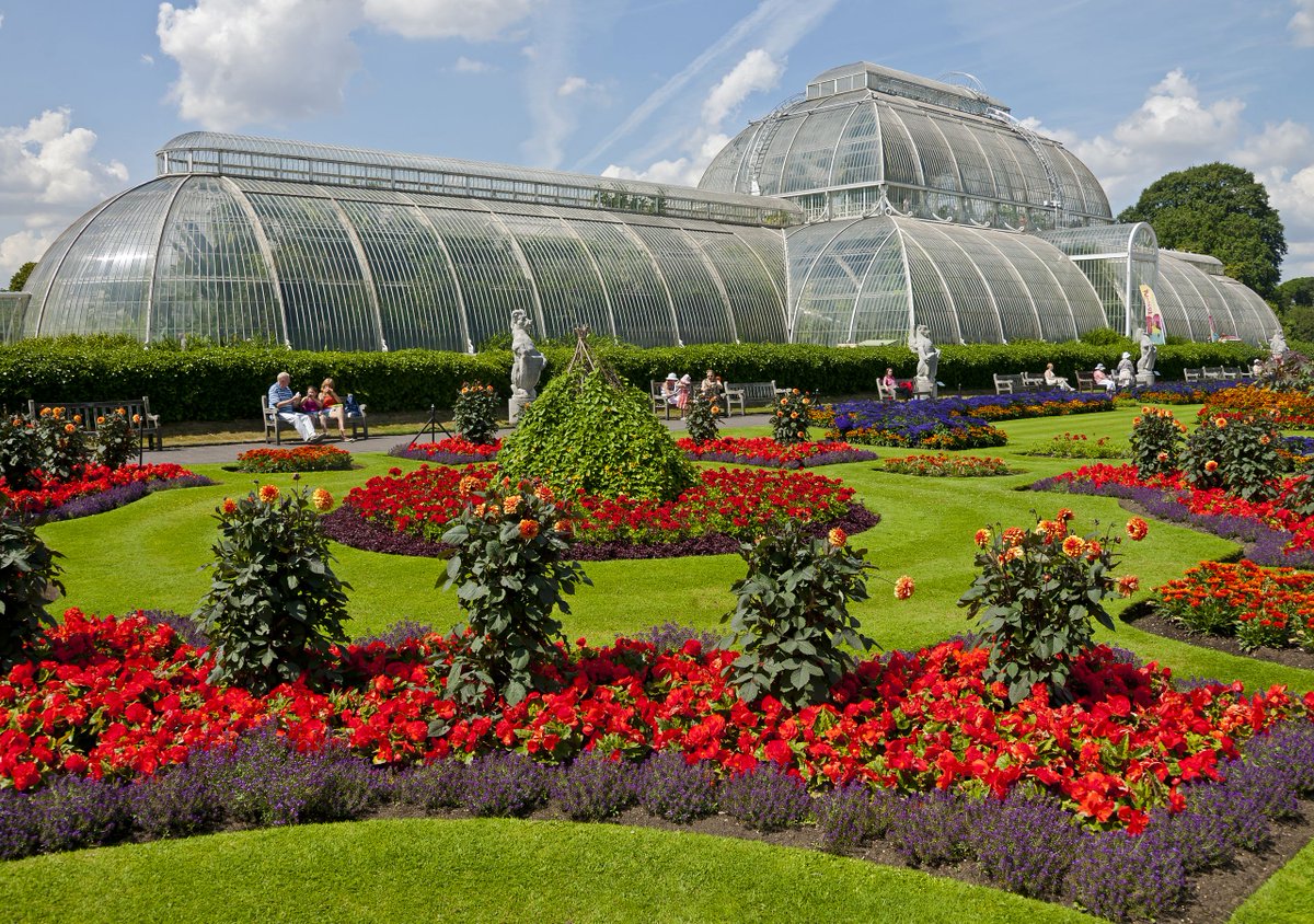 gmivienna's tweet photo. GMI Senior Group Leader Professor Liam Dolan appointed Her Majesty The Queen's #Trustee to the Board of the Royal Botanic Gardens in Kew @kewgardens
Read more ➡️ https://t.co/2dou0krOHb
More on the Dolan lab ➡️ https://t.co/FIEmdX9x21
#QueensRepresentative #QueenElizabeth https://t.co/pDEz4yUl1A