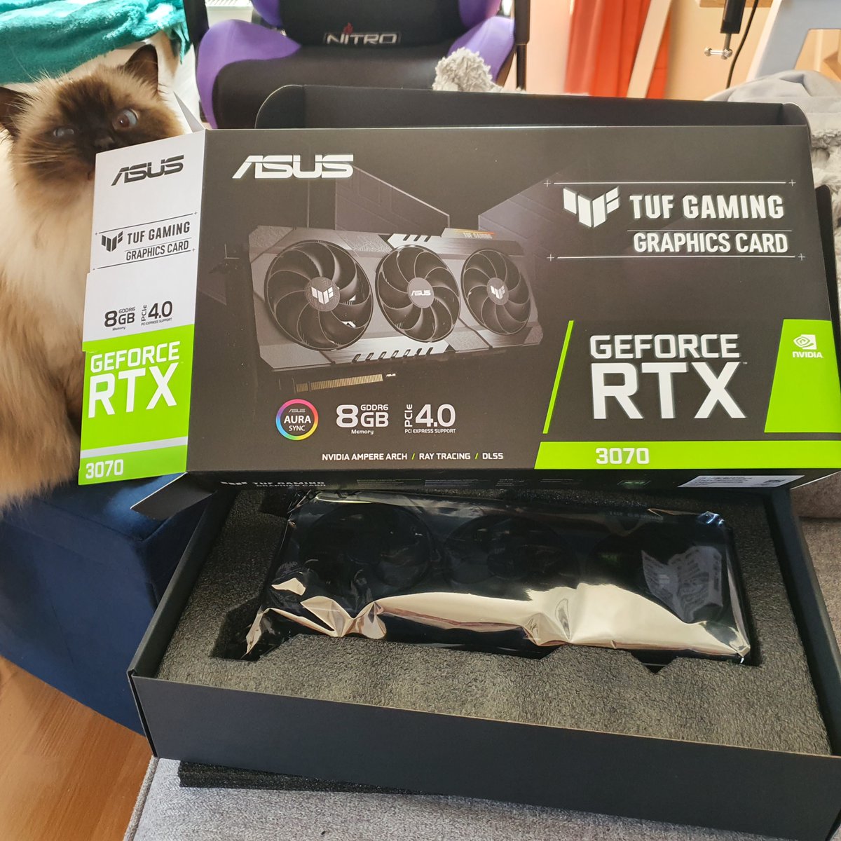 Vis_Valdi's tweet photo. Finally got my hands on one of these!
Even Arthur is happy!
🥰

#NVIDIAGeForce #twitch #gaming #asus https://t.co/S7JyS2DJEB
