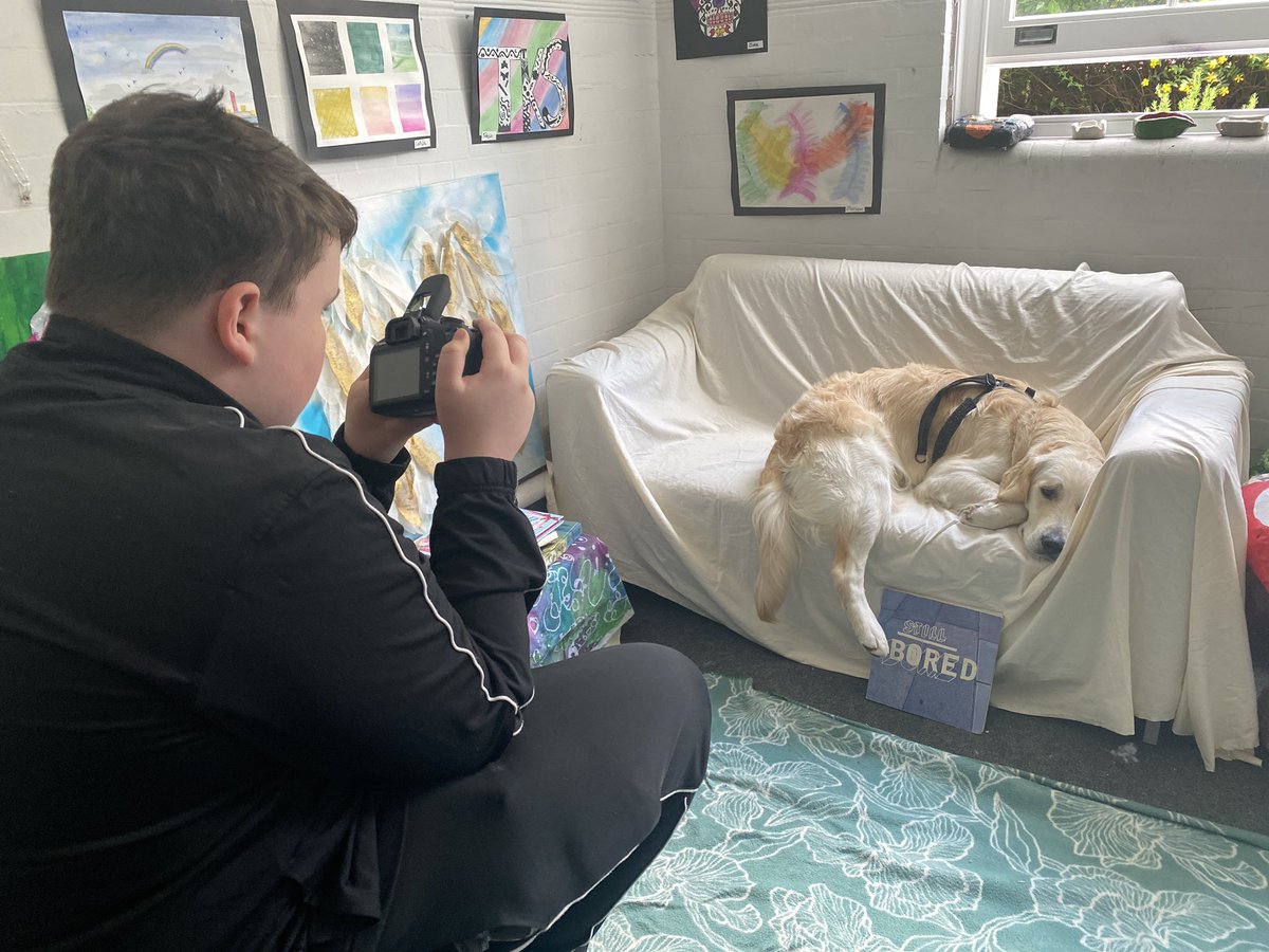 Theo our therapy dog is the perfect model…. Having a nap! 💤