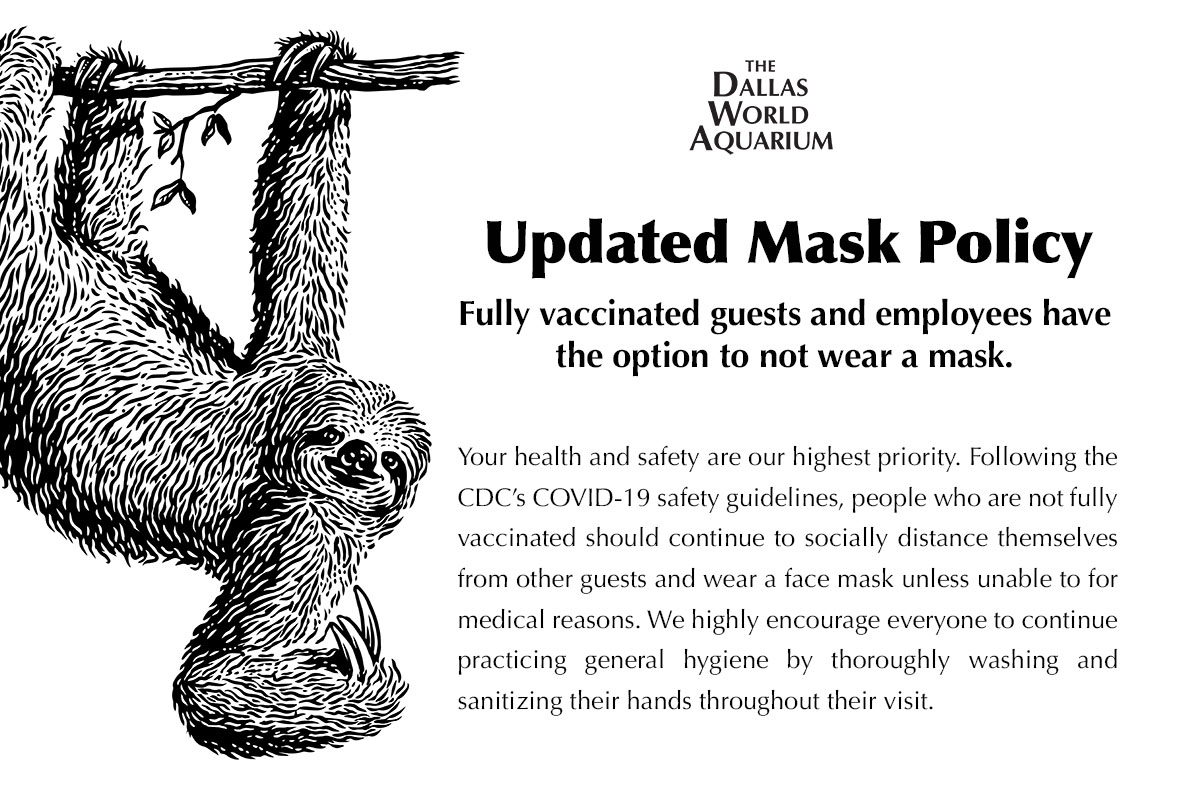 officialdwazoo's tweet photo. UPDATED MASK POLICY: Fully vaccinated guests and employees have the option to not wear a mask. https://t.co/qGjrUQ9daa