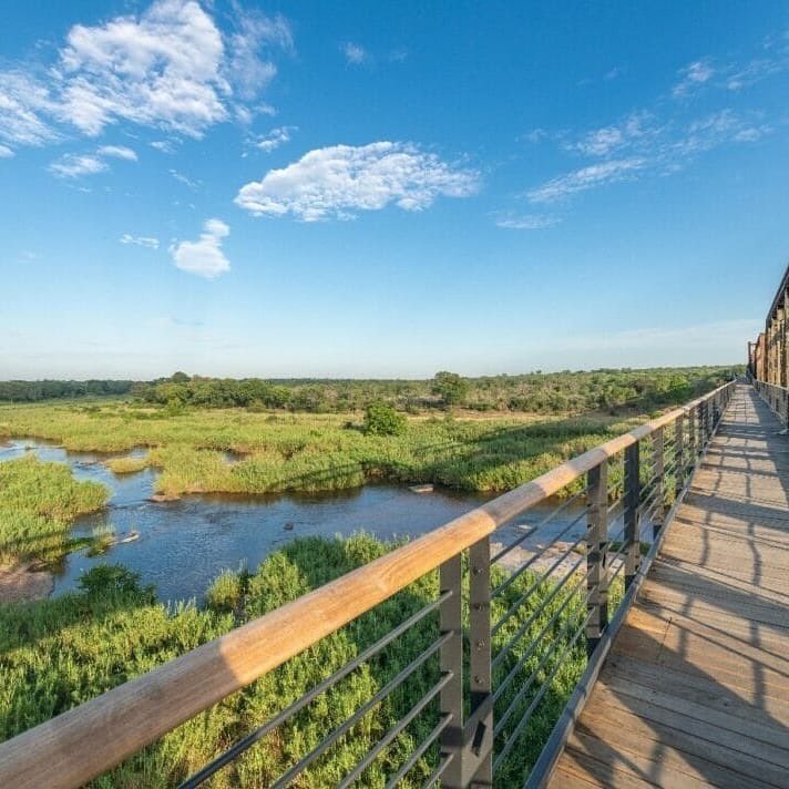 dmAFRICA's tweet photo. Train on the bridge 
Read more: https://t.co/Ihmzo14j21
Photographs courtesy of Kruger Shalati / @kylelewinphotography 
@kruger_shalati

#everythingextraordinary #dmafrica  #remoteaccessible #accessiblyremote #diving #train #bridge #adventure #hermanus #villas  #luxurysafari https://t.co/mH5bRkEfvN