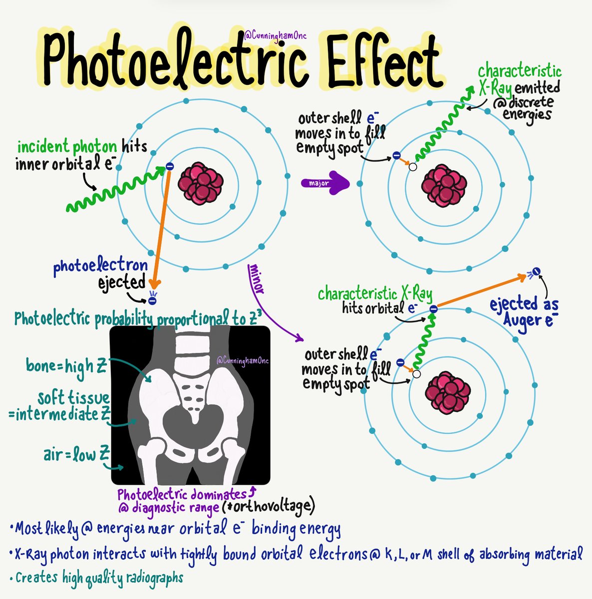 Photoelectric effect dominates @ diagnostic range; is proportional to Z^3. Happens when a photon hits an inner orbital electron ➡️ejects e-➡️ outer e- moves in to take its spot. Characteristic XR made; if hits e-, ejected as Auger e- #roedu #radonc #medphys #physics #photonweek
