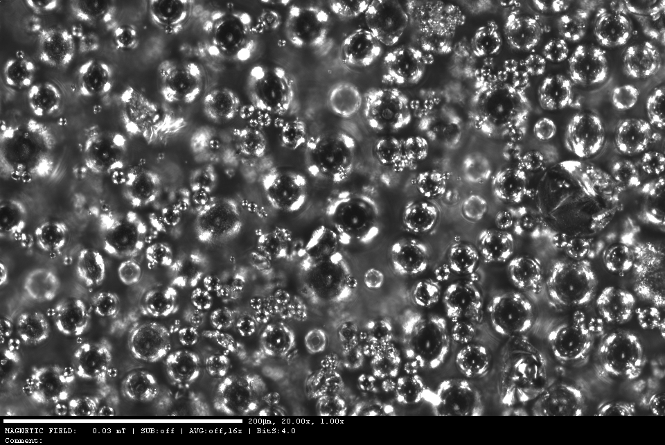 uwipom2's tweet photo. Optical microscope image of gas atomized NdFeB particles used in UWIPOM2 embedded in an epoxy matrix performed by @IMDEA_Nano 
 
#H2020 #FET_EU #FETOPEN #OpticalMicroscope #Particles #Epoxy #NanoScience https://t.co/7h6IygQHUS