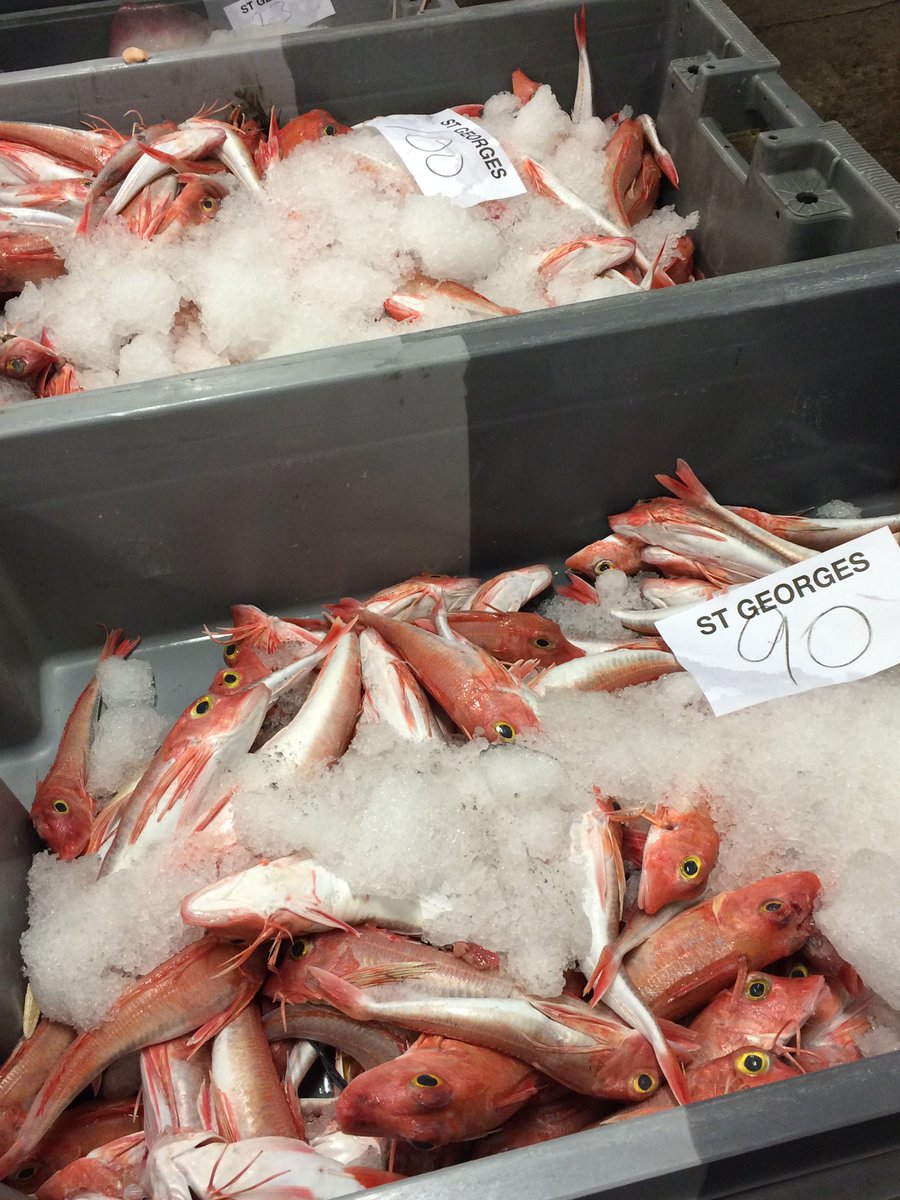 NewlynFishing's tweet photo. “Highlighting at #Fishmongers & #FishRestaurants Menus fromThurs #FreshCornish Dover/LemonSoles’ Plaice’ Monkfish’ JDs’ #CornishSoles’ RedGurnard’ Turbot’ Brill ectectNow landed by’TheBigBoy’ #StGeorges 4 tomorrow #NewlynMkt Auction! @StevensonNewlyn @NFF_fishmongers @Cornishfpo https://t.co/485kopONzx