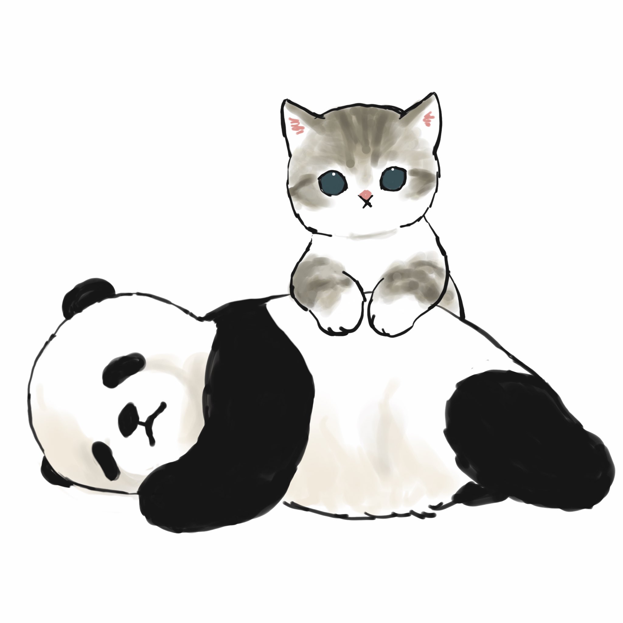 Twitter 上的 ぢゅの パンダより可愛いことをアピールするにゃんこ T Co Uslvkpmvdz Twitter