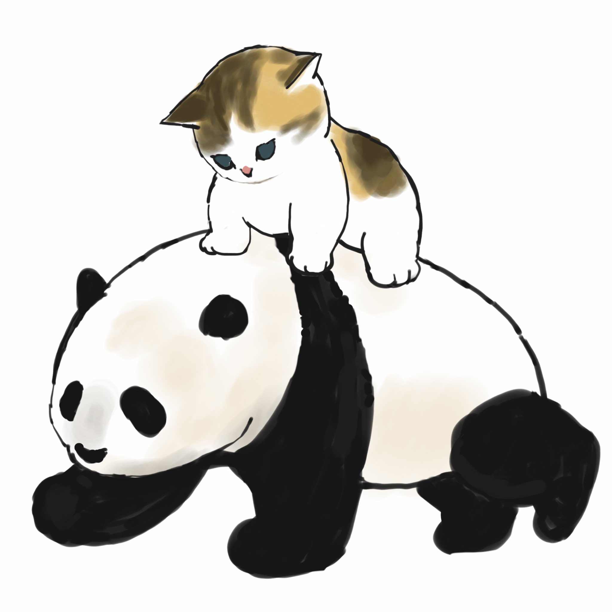 Twitter 上的 ぢゅの パンダより可愛いことをアピールするにゃんこ T Co Uslvkpmvdz Twitter