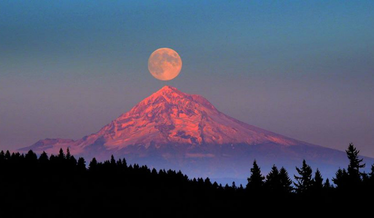 Get ready for growth! A Full Moon Supermoon in Capricorn rises on June 24. Taskmaster Saturn ruled tenth house matters, are brought to light in areas of career, reputation, responsibilities, life’s work, and your destiny in the world. There is a message from the cosmos for you.