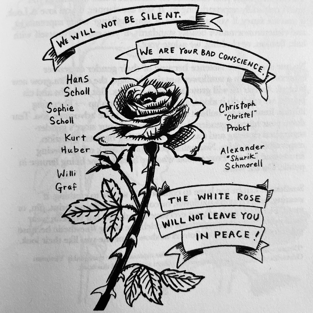 Learn how to say “queers against fascism,” “sapphic angst,” “hidden power,” &amp; “intersectionality” florally in Queer Language of Flowers by <a href="/robin_elan/">Elan Robinson</a> @IllMakeItMyself #pride #CornellRAD #queerzine
