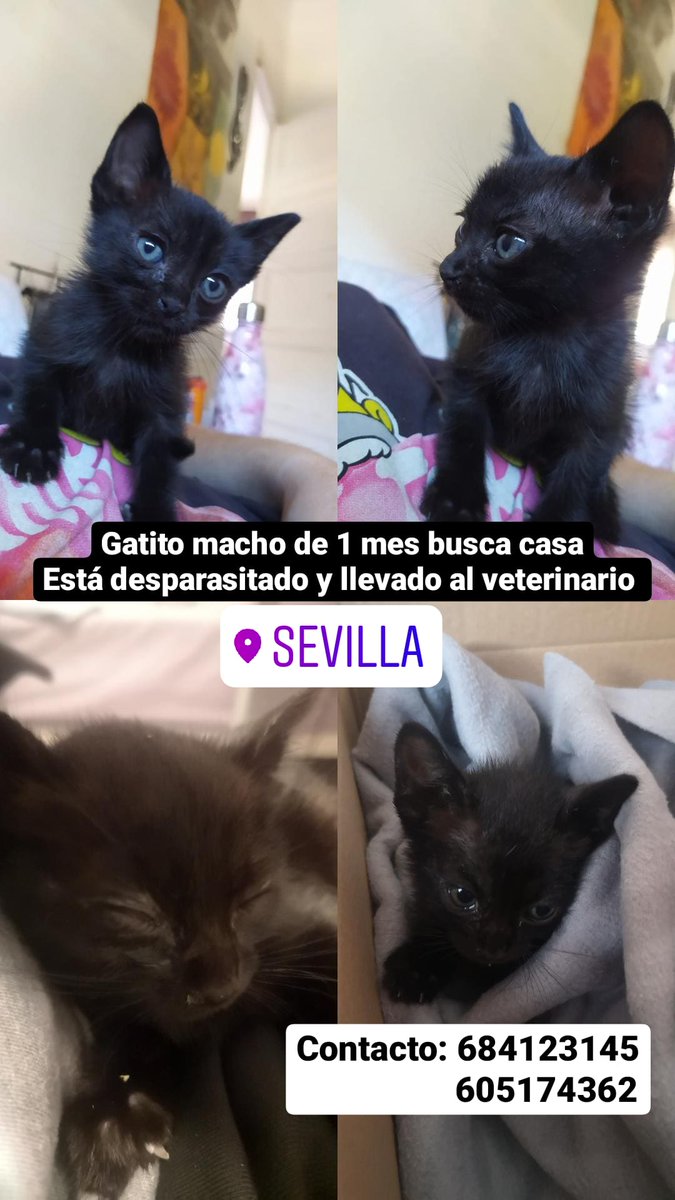 mariapallaresdz's tweet photo. Porfa difundid https://t.co/tsusnsx0sv