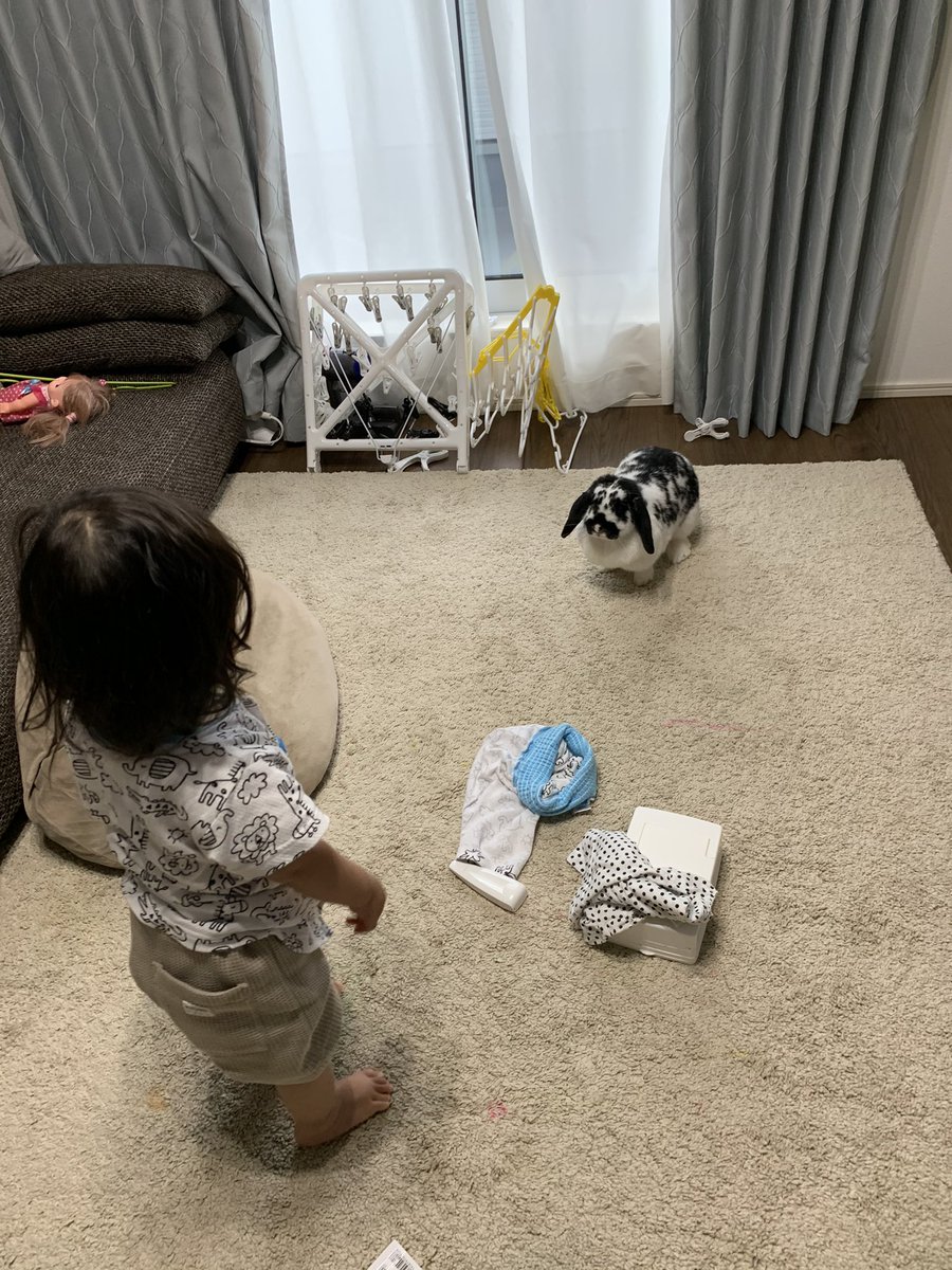 #うさぎしんぼる展 さんに行ってきました！！去年は行けなかったので今年も開催してくれてよかった | ᐕ)⁾⁾
ごまちゃんと同じ名前の子の写真が飾ってありました！どの子も可愛かった🤞🤞お家に帰るとごまちゃんとお子が仲良く遊んでました。お留守番ありがとう( ᷇ᵕ ᷆ )