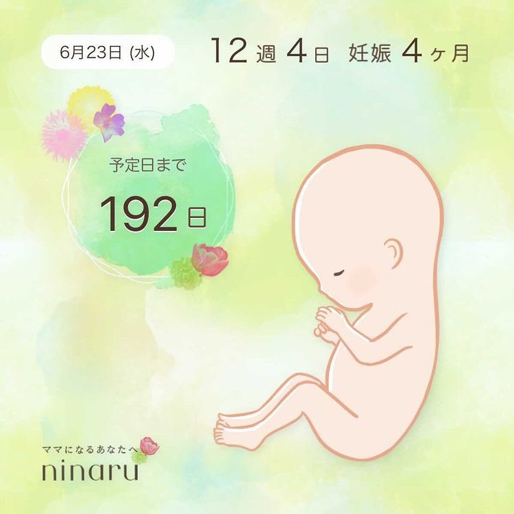 126peco's tweet photo. 報告遅くなりましたが
新しい生命を授かりました👼🏻❤️

翼くんと共にこの子の成長を手助け出来たらなと思ってます✨

きっとこれから先色々あると思いますが、今後ゎ家族3人で力合わせて頑張って行こう思います✊🏻💓 https://t.co/GRx5wnelvQ