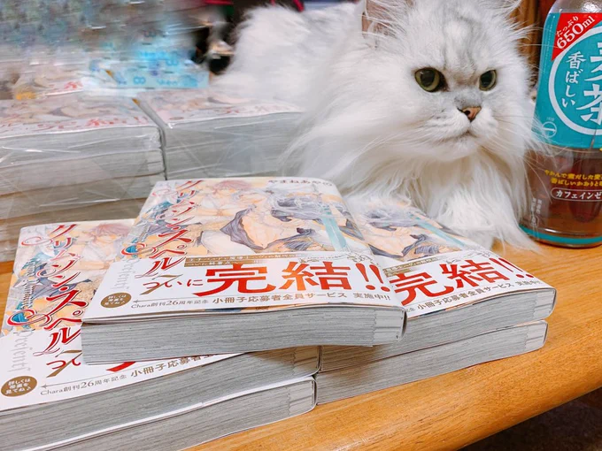 本日クリムゾン・スペル最終巻の通常版も届きました💖230ページの厚みでお楽しみシーンも満載ですwきっと読み応えあるはず‼️🤣6/25発売です✨ 