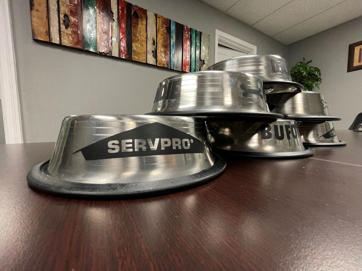 Preparing for National Take Your Dog to Work Day, it's this Friday the 25th!

#takeyourdogtoworkday #SERVPROpups