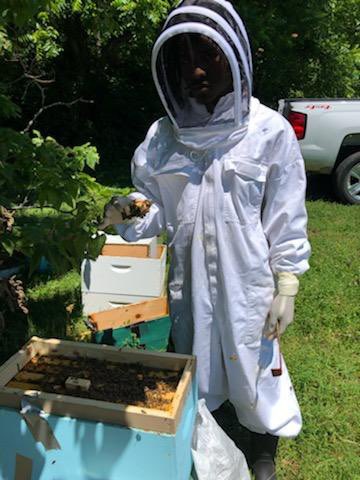 #PollinatorWeek2021 Our summer undergraduate student Lavano Sands is working on a project for testing the flight abilities of foragers of feral bees 🐝 @CentralState87 @StudentPres #USDACBGGrant #pollinatorhealth #BlackInEntomology