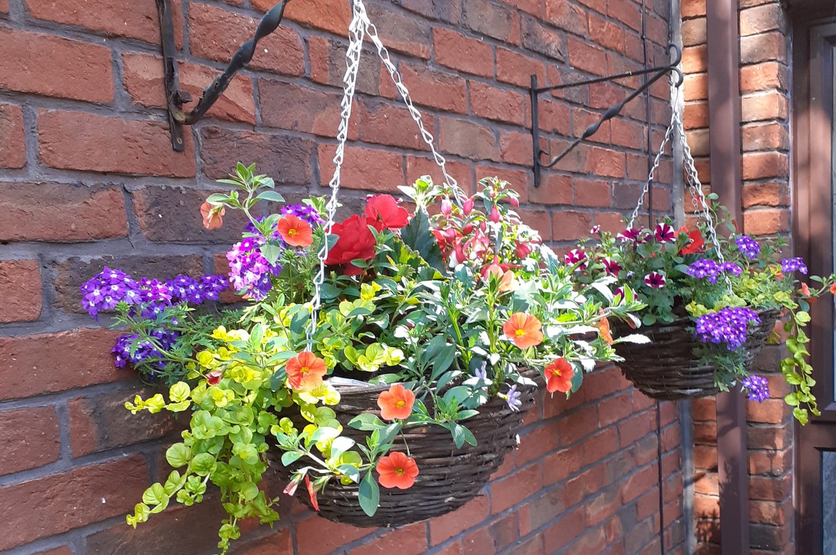JoanneSMorris1's tweet photo. Its blooming marvelous for our residents at Arkwright Court, Leominster as they are busy getting the garden ready for #Britianinbloom #leominsterinbloom #WARL @StonewaterUK https://t.co/dojktNAeap