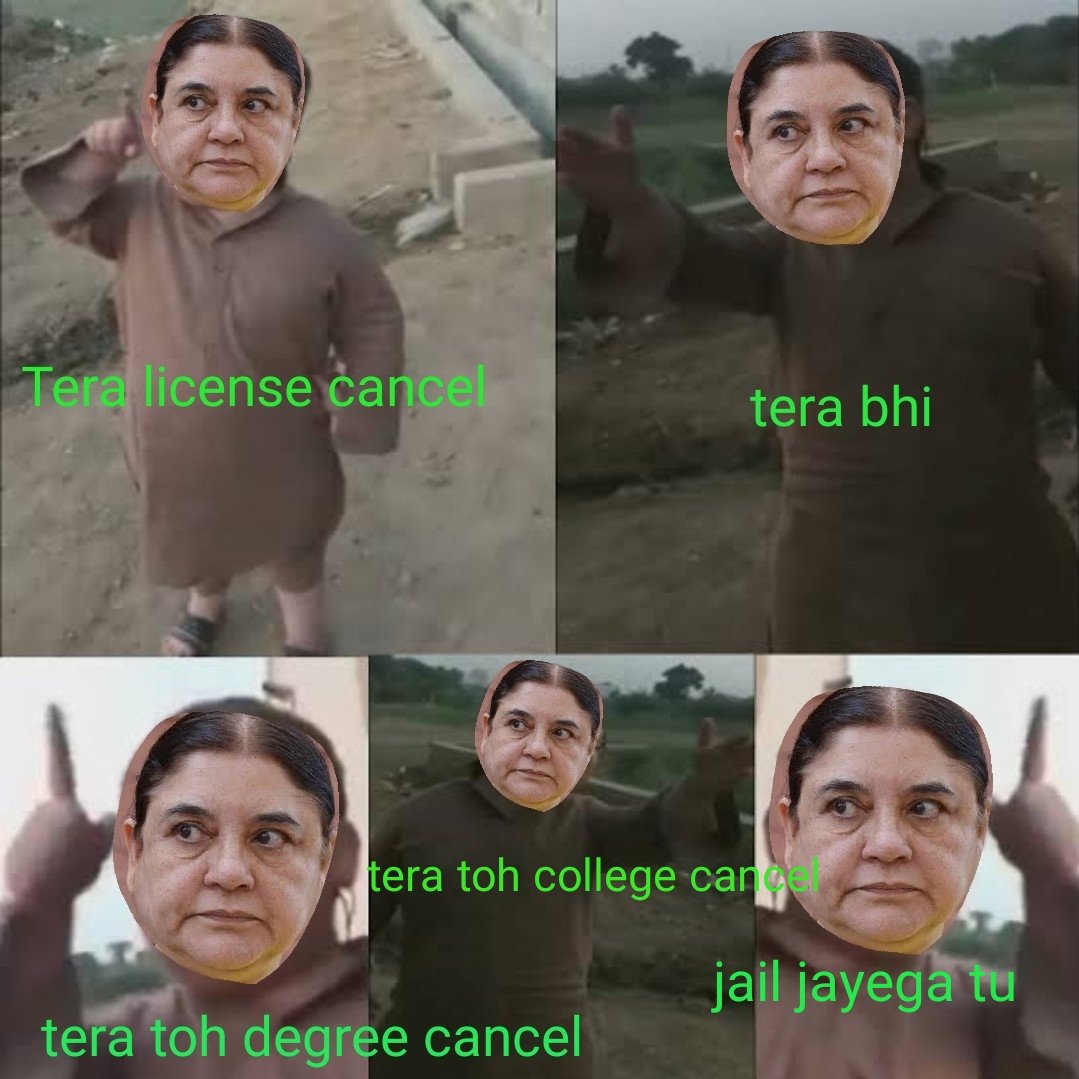 SecularBuffalo's tweet photo. #ManekaGandhi 's daily routine 
#manekagandhimafimango https://t.co/1tnEk6qs2H