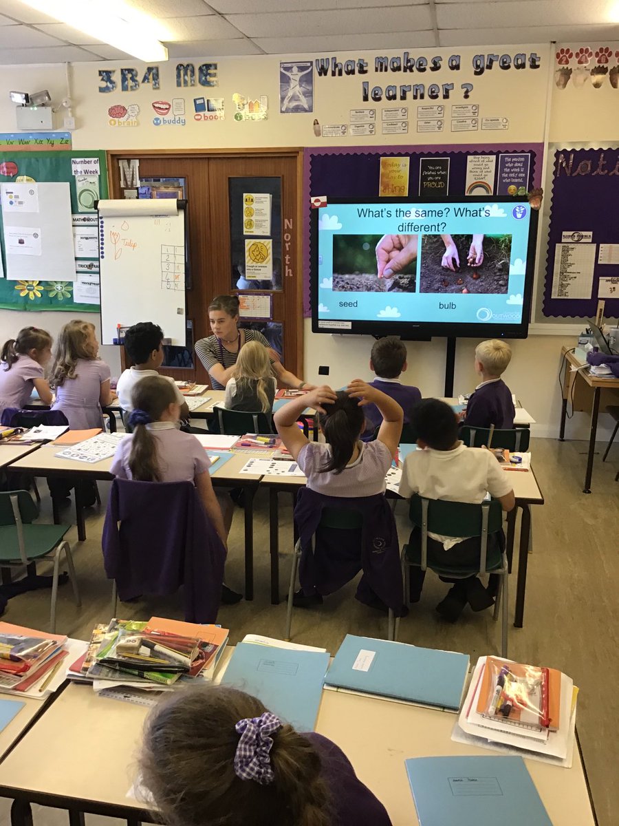 OPA_LL's tweet photo. This afternoon, children have been working incredibly hard in the classroom and out on the field. From learning all about different types of seeds in Y2 to speaking about different french foods in Y4 🇫🇷 Super work 💜 #OPALL #learning https://t.co/DllkdZAqhH