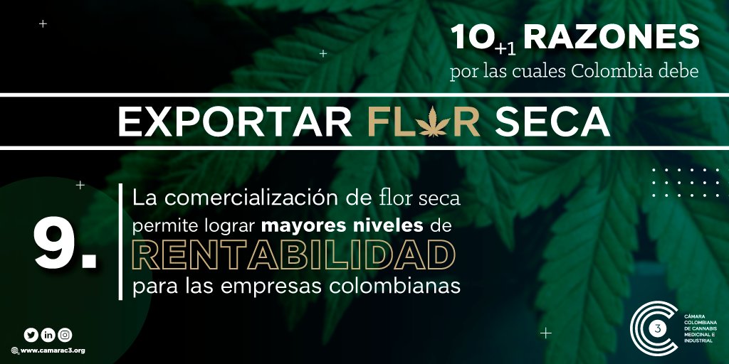 CamCannabisCol's tweet photo. Los planes de negocio que adelantan las empresas de #cannabis definirán también los niveles de inversión local y extranjera. 9°razón por la cual Colombia debe viabilizar la exportación de flor seca @MinjusticiaCo @MinSaludCol @MincomercioCo @asocolcanna @procannacol @Asocannacol1 https://t.co/d6sUKqIVcb
