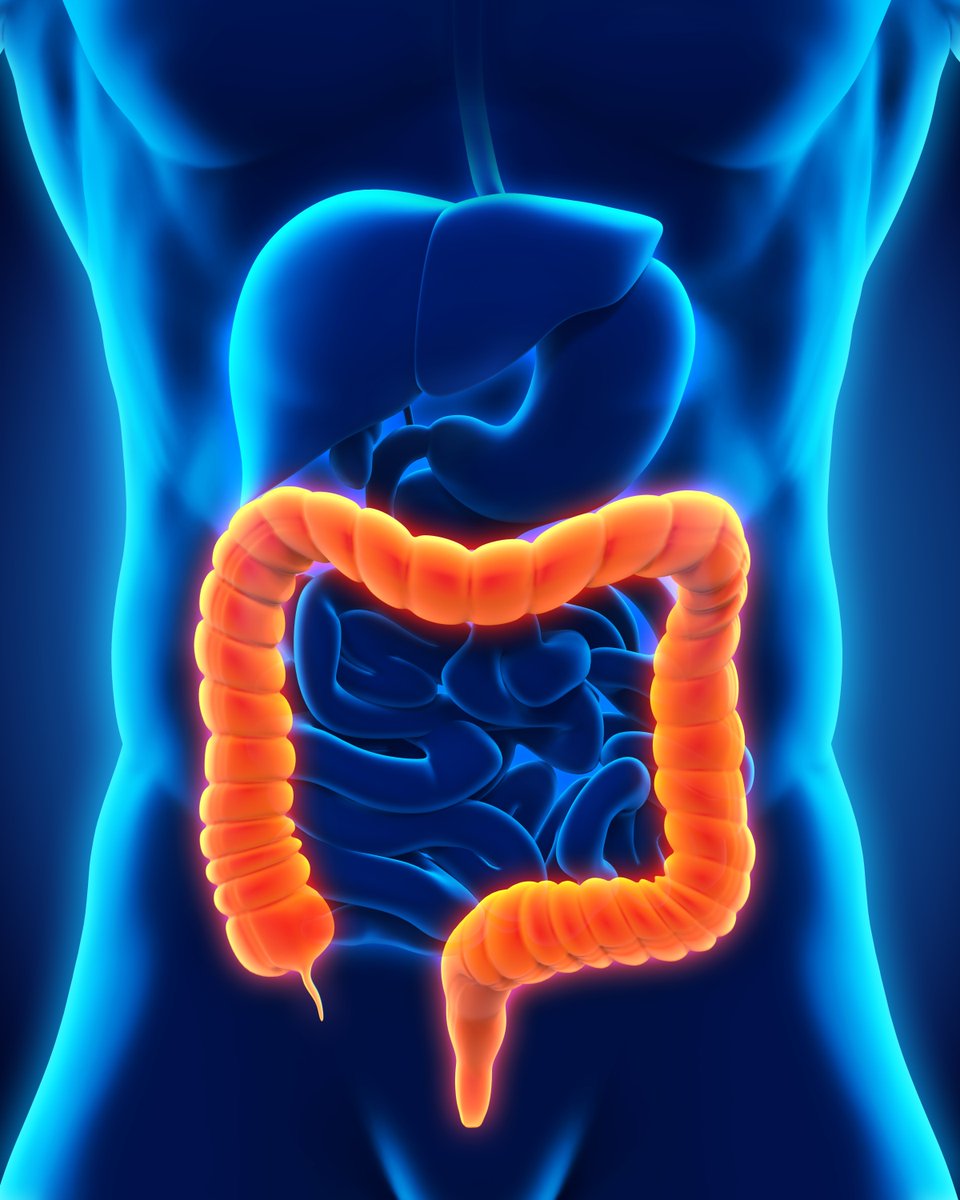 In a paper in <a href="/ASCO/">ASCO</a> Educational Book, SKCC's <a href="/EdithMitchellMD/">Edith Mitchell, M.D.</a> &amp; team outlined #colorectalcancer #disparities, reviewed implemented solutions, &amp; defined strategies to ensure that everyone has an opportunity to be as healthy as possible: ow.ly/OKXU50FgN4d #ResearchWednesday