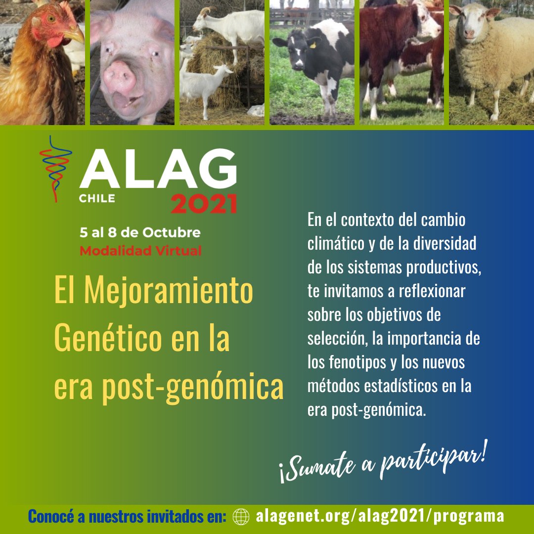 alagenetica's tweet photo. #CongresoALAG2021 EL MEJORAMIENTO GENÉTICO EN LA ERA POST-GENÓMICA
En el contexto del cambio climático y de la diversidad de los sistemas productivos, te invitamos a reflexionar s/objetivos de selección, importancia de fenotipos y nuevos métodos estadísticos en era post-genómica. https://t.co/Aasjpa3pNo