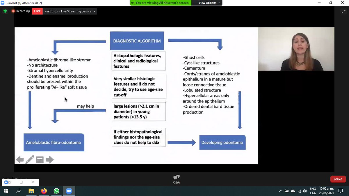 Isidora Mujica tweet media