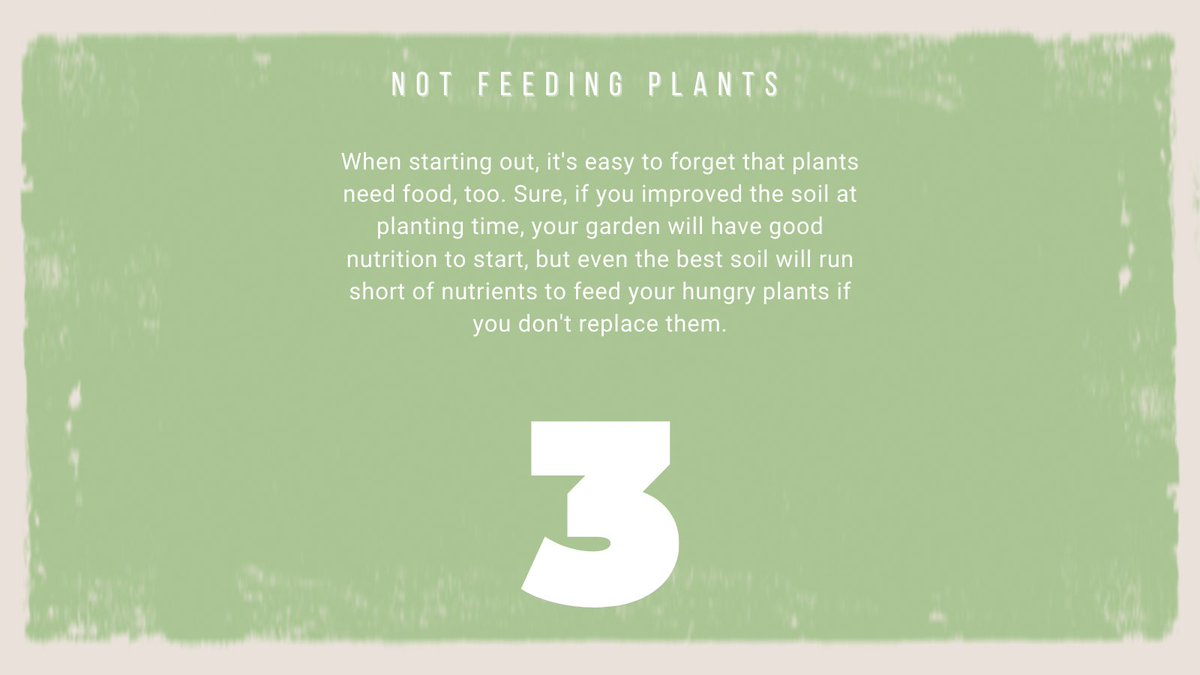 Some mistakes can just be avoided 👨‍🏫

#wearethegrowers #gardeningmistakes #avoidmistakes #gardenmistakes #commonmistakes #mistakes #gardening #ourgarden #gardeningproblems #gardeninguk